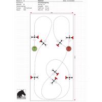 Stald-Direktes DM for Kæpheste stævne i Randbøl - S2-klasse 1: 2er ponyerne 8-10 år: 40cm